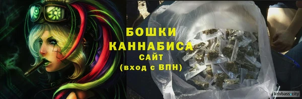 соль ск Медвежьегорск