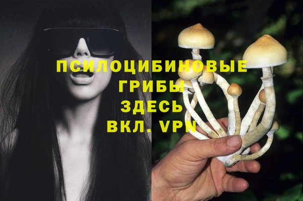 кристаллы Мегион
