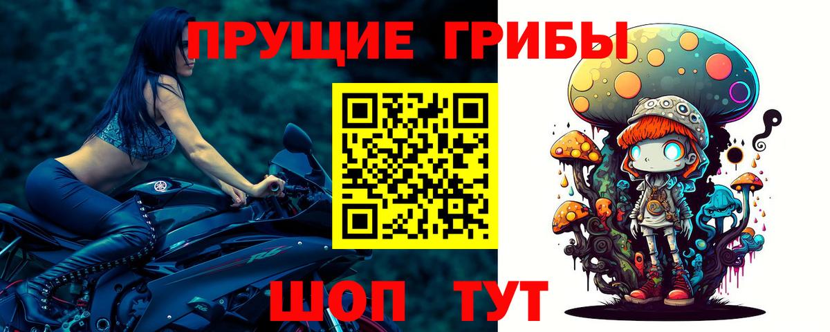 Галлюциногенные грибы GOLDEN TEACHER  Псилоцибиновые грибы мицелий  Вход с VPN  Дюртюли 